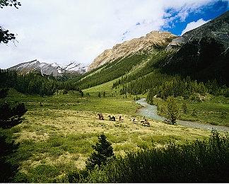 《博德之门3》全平台销量超过了1500万套