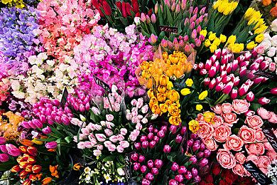 《迷失》与《咩咩启示录》公布大致上市日期范围